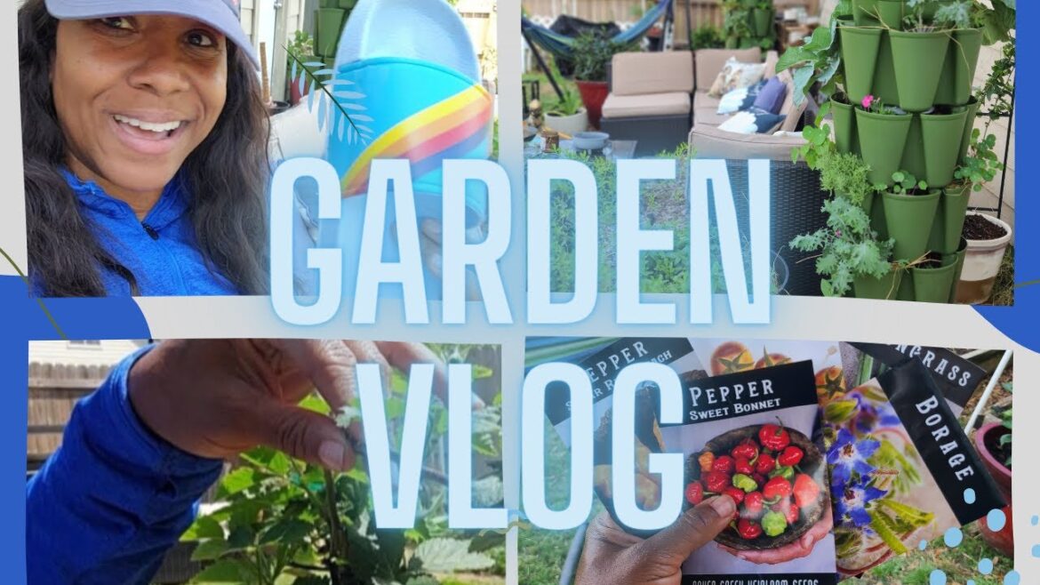 OMG YALL BLACKBERRIES! Everything is growing! Helen H