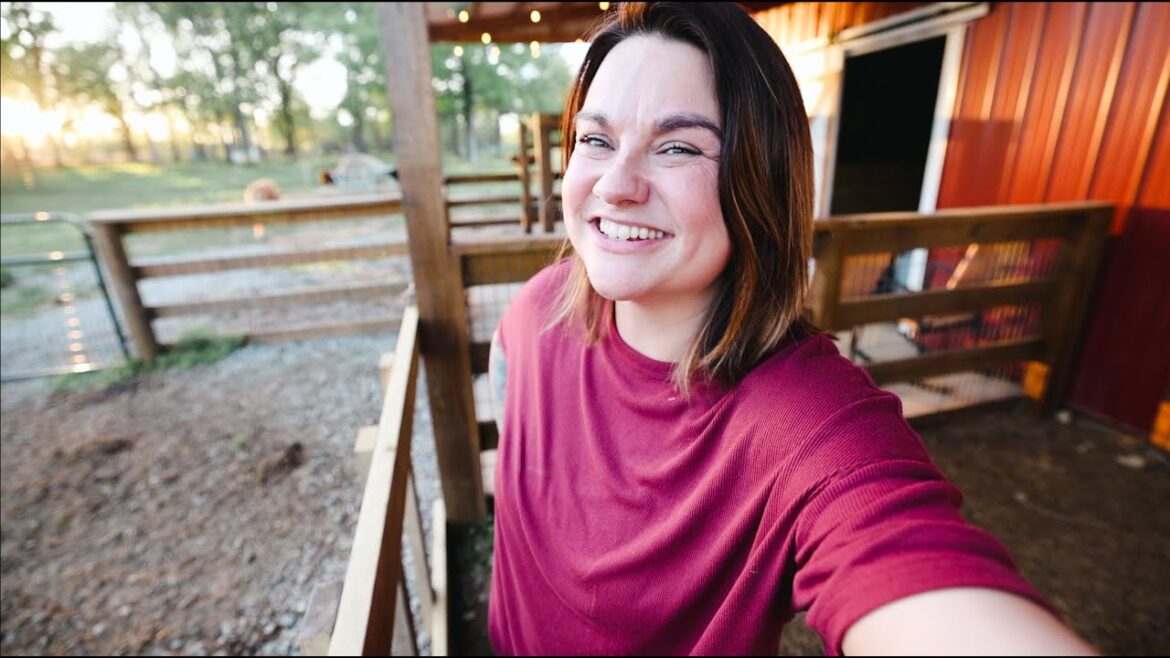 Roots and Refuge Farm: Barn Tour and Updates (& Heifer Plans) | VLOGS Barn Tour and Updates (& Heifer Plans) | VLOGS