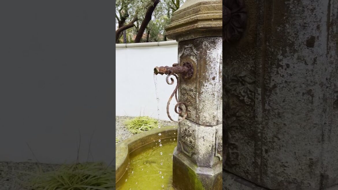 Xeriscape Front Yard Makeover