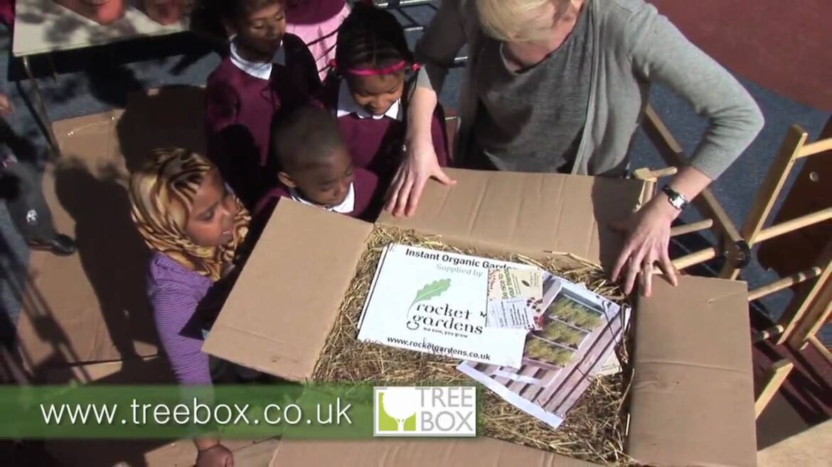 Vertical Gardening Solutions - Green Screens, Edible Walls and Vertical Allotments