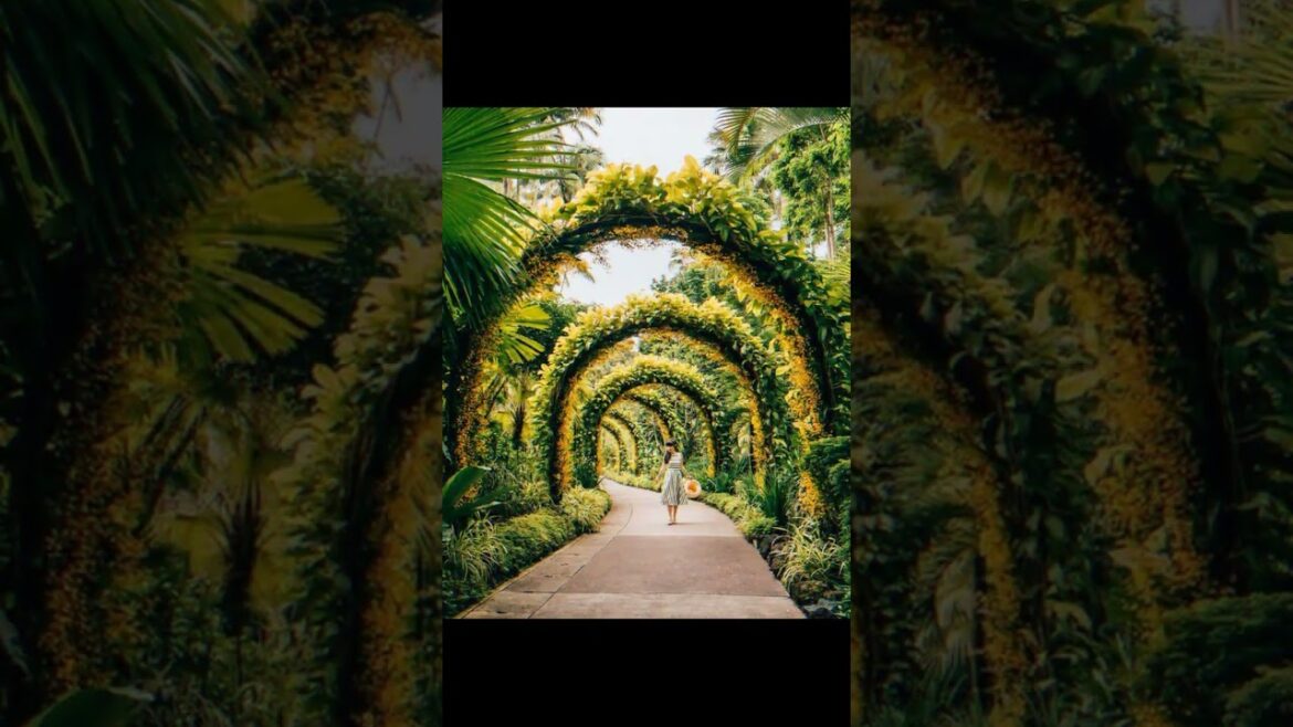 Landscape Desing ideas Best ideas for garden and landscape #6354 #shorts 9 Landscape Desing ideas Best ideas for garden and landscape #6354 #shorts 9