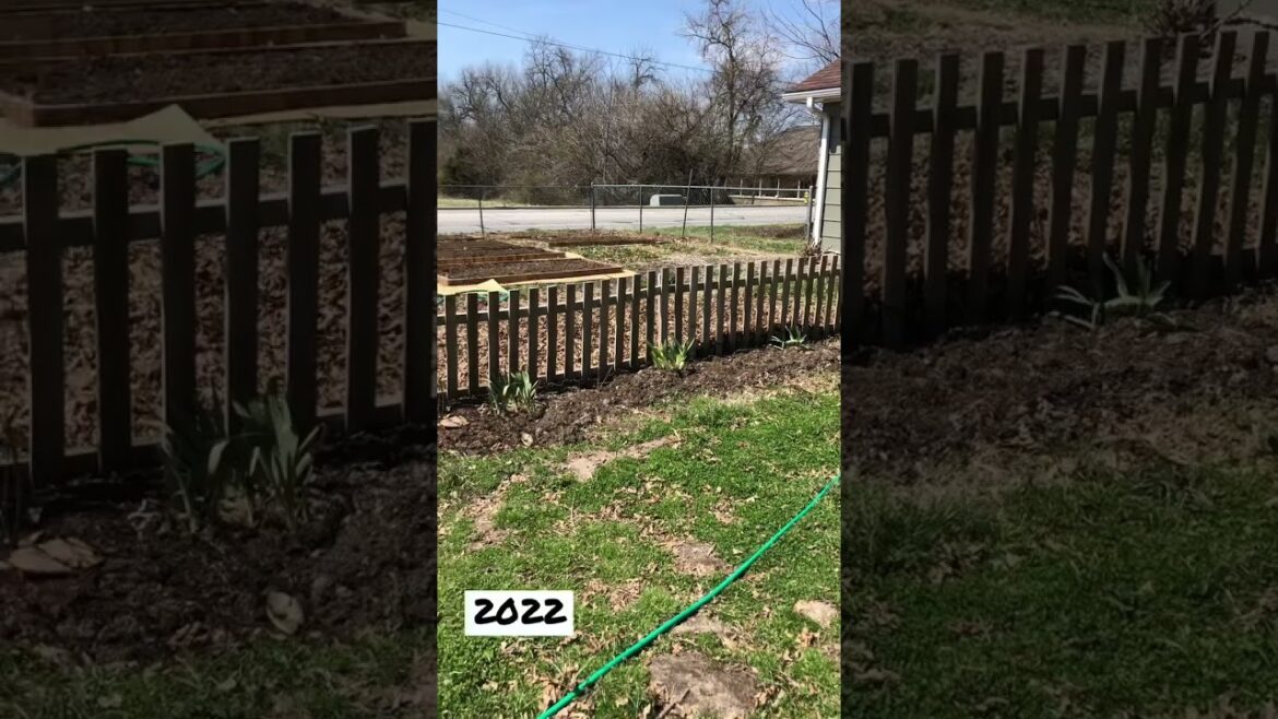 WITNESS the UNBELIEVABLE EVOLUTION of Our BACKYARD GARDEN!!