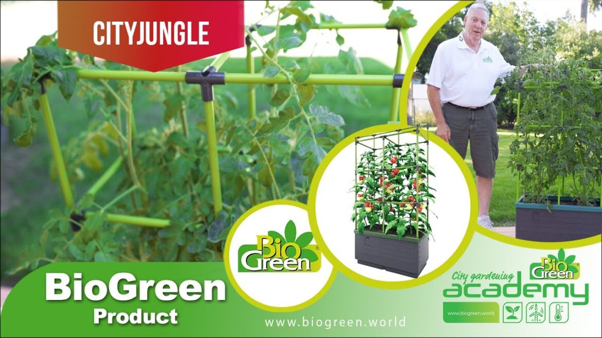 Make your urban jungle come alive with the Bio Green City Jungle Gardening System