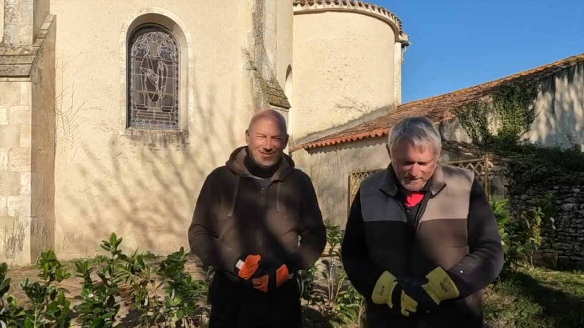 A friend visits.. more work on the garden completed, after a big clear up...