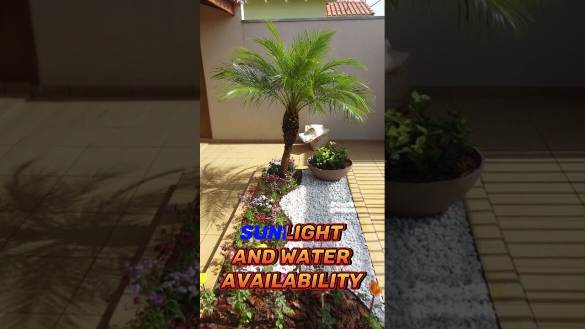 Do You Love This Home Garden #shorts #viral #garden