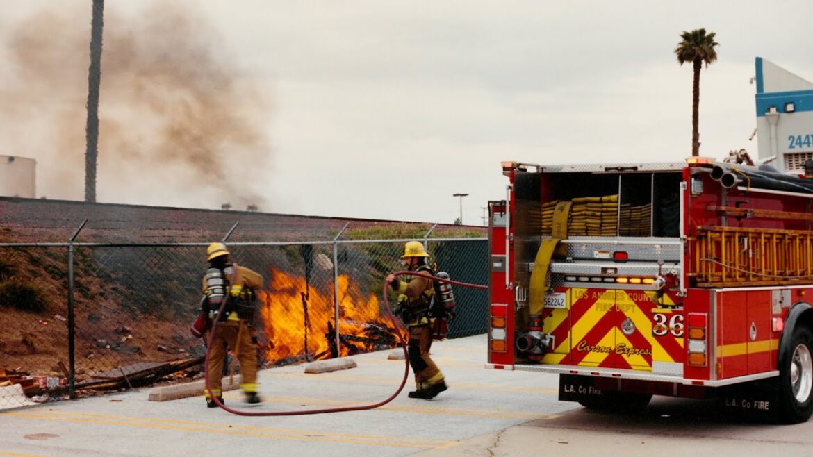 Photos I took in March