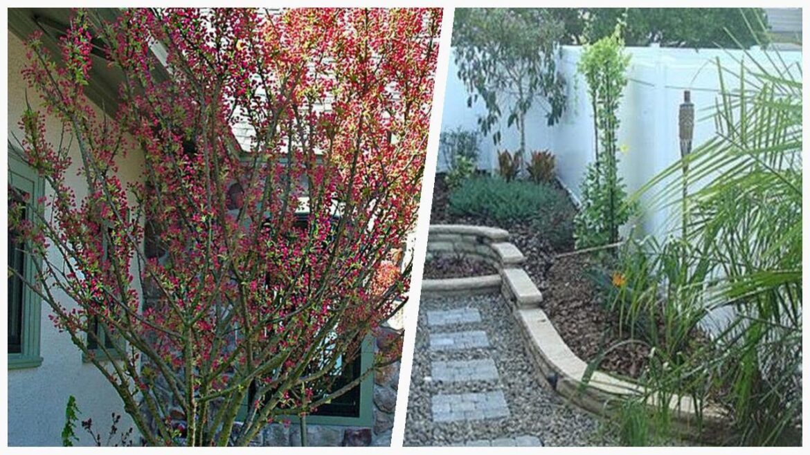 75 Turquoise Brick Landscaping Design Ideas You’ll Love ⭐️ 75 Turquoise Brick Landscaping Design Ideas You'll Love ⭐️