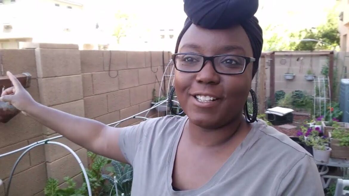 Why Are These Bugs In My Garden? Did I Grow A Year Supply Of Greens? Why Are These Bugs In My Garden? Did I Grow A Year Supply Of Greens?