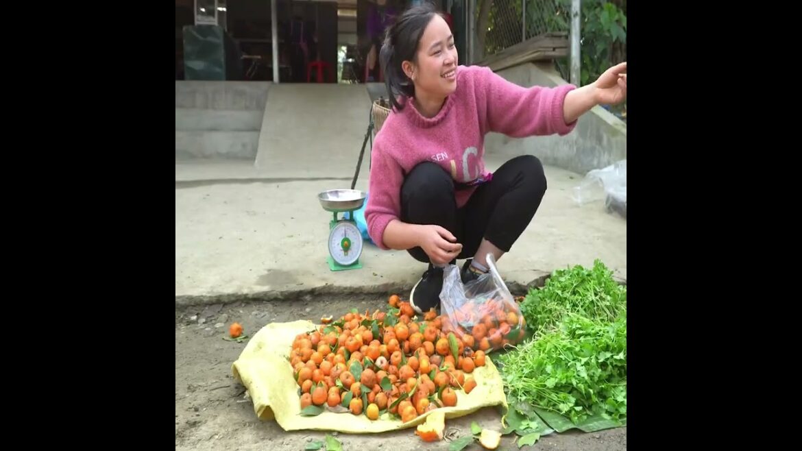 Coriander Harvest & Small Tangerine   Gardening, Grow Vegetable