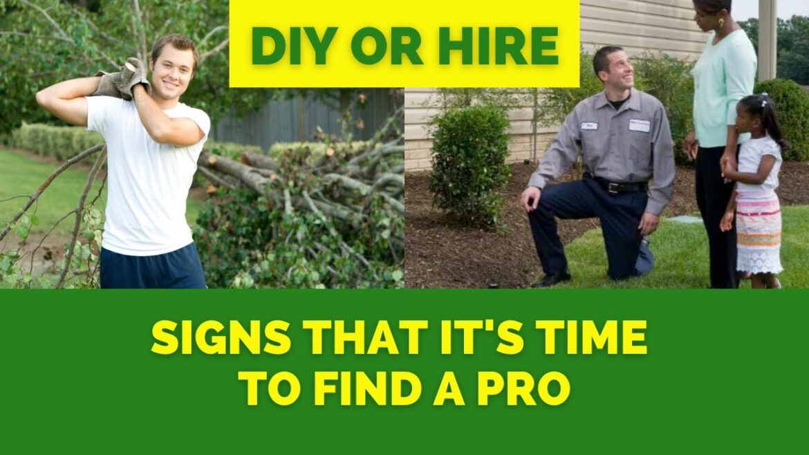 When to Turn to a PRO for Landscape Success When to Turn to a PRO for Landscape Success
