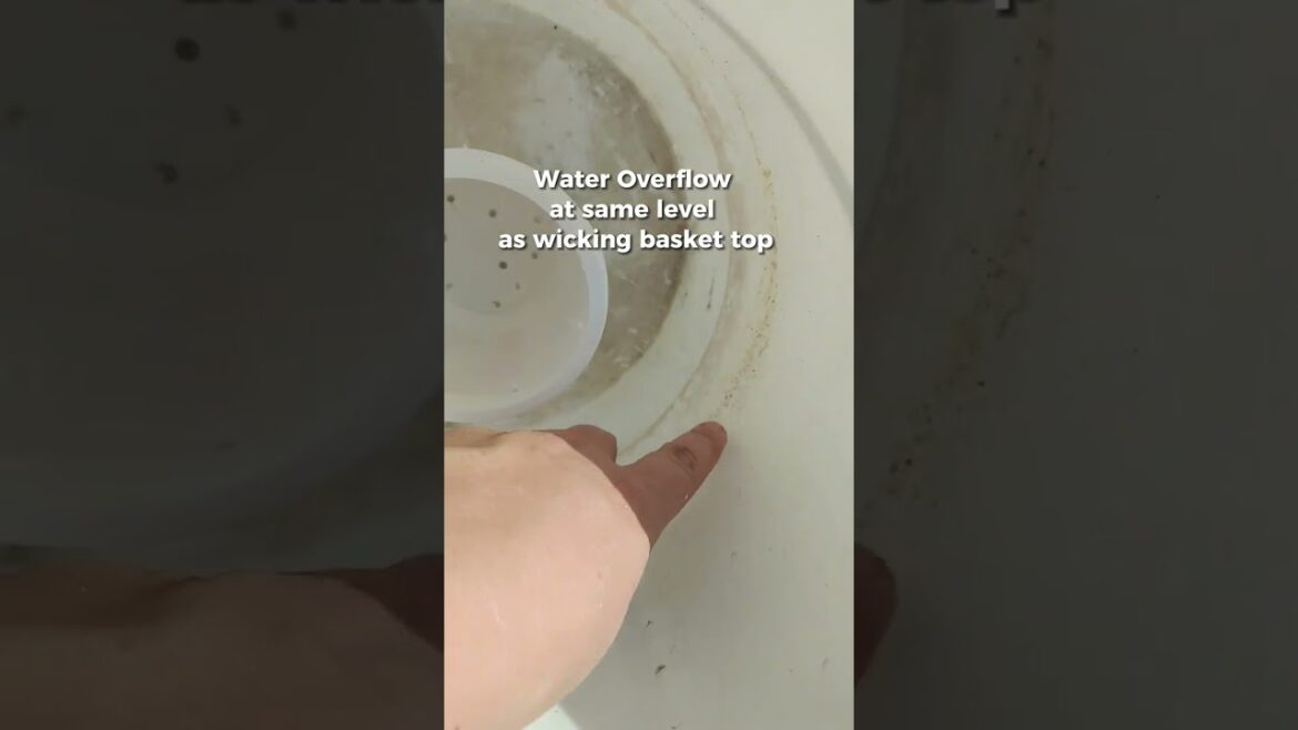 DIY Self Wicking Planter with 5 gallon buckets #diygarden #containergardening #containergarden DIY Self Wicking Planter with 5 gallon buckets #diygarden #containergardening #containergarden