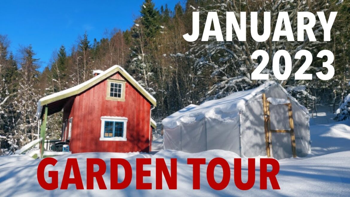 Can the greenhouse take the snow? | January 2023 garden tour | Emma's Norwegian kitchen garden