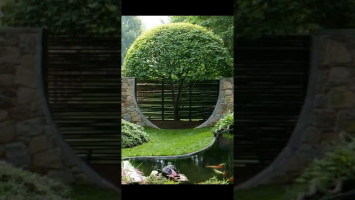 Landscape Desing ideas Best ideas for garden and landscape #6354 #shorts 6 Landscape Desing ideas Best ideas for garden and landscape #6354 #shorts 6