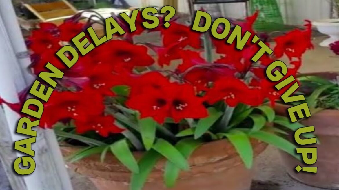 Late Start To Gardening? Don’t Panic…You Need To See This! #GrowYourOwn Late Start To Gardening? Don't Panic...You Need To See This! #GrowYourOwn