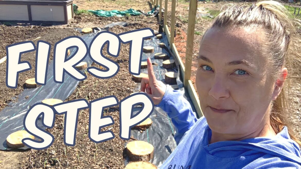 Unlock the Secret to an INSPIRING Garden with Crop Rotation!