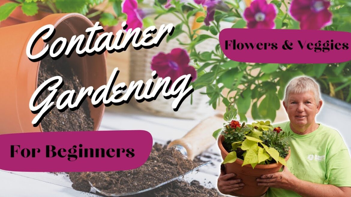 Container Gardening for Beginners | The Ultimate Guide to Container Gardening Container Gardening for Beginners | The Ultimate Guide to Container Gardening