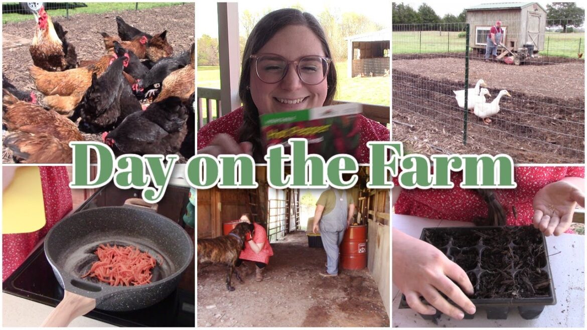 DAY on the FARM | 2023 GARDEN | DITL | NEW CHICKENS | HOMESTEAD | KIRSTI PICKENS