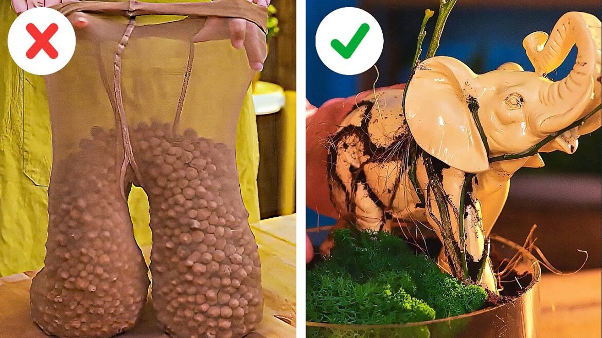 Revolutionize Your Garden with These 10 Crazy Hacks That Actually Work! Revolutionize Your Garden with These 10 Crazy Hacks That Actually Work!