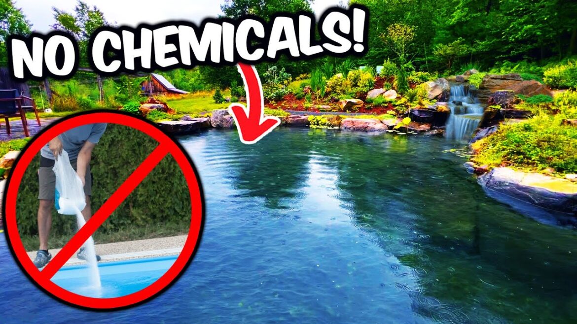 BEST POND FILTER. What it Looks Like.