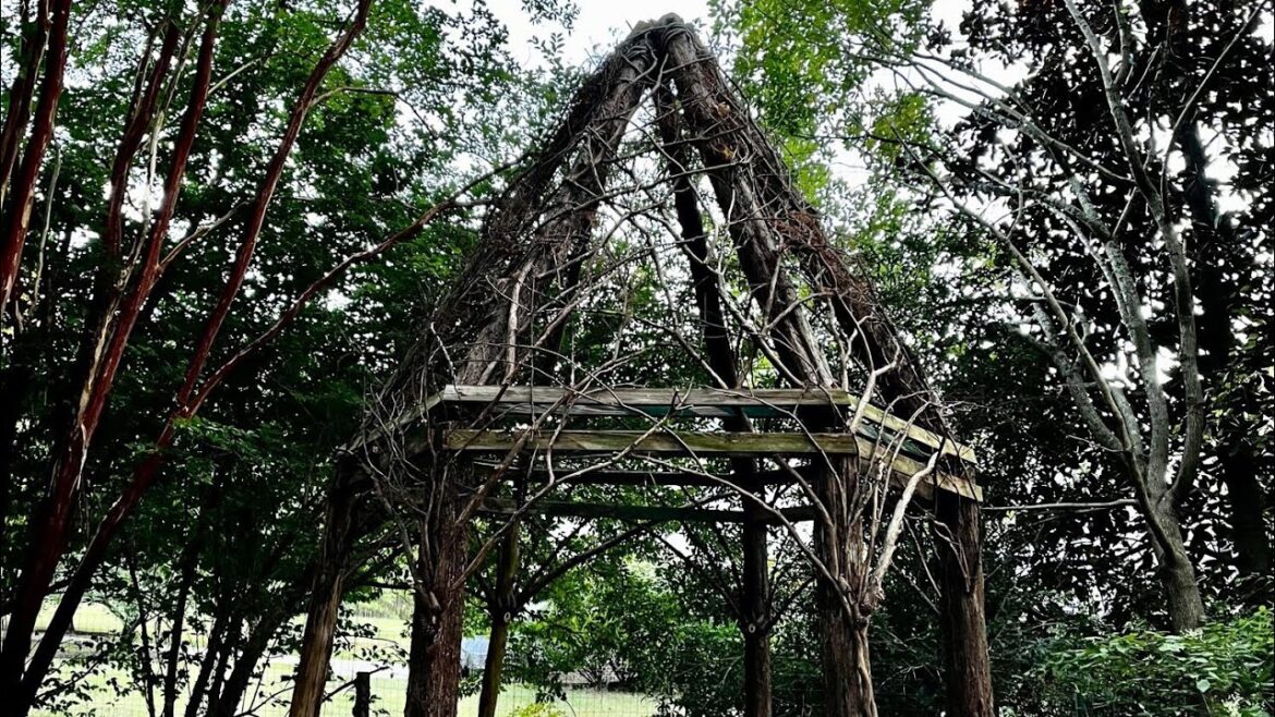 Garden Tour with Amazing Structure!