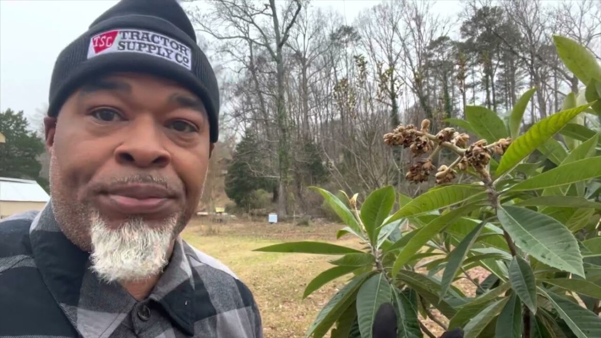 Shortage Prices are trough the roof for new Gardeners !