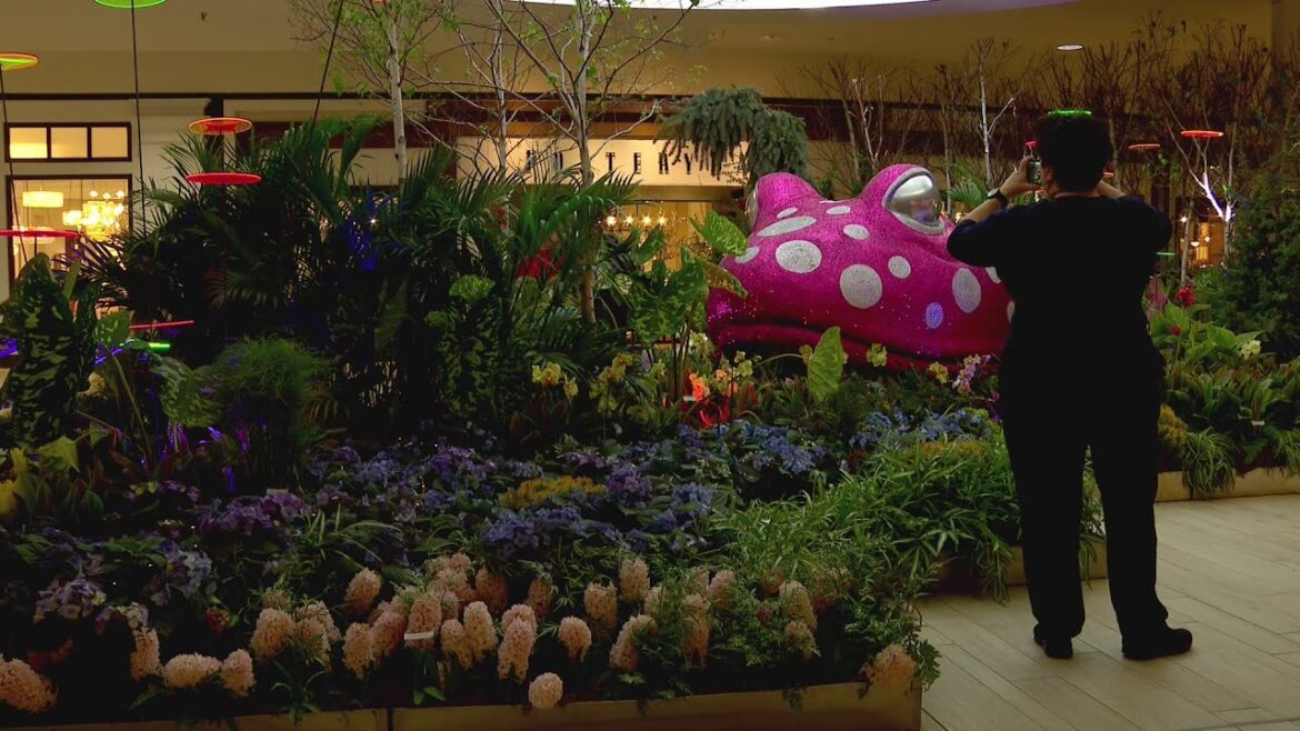 Galleria’s flower show should tide you over