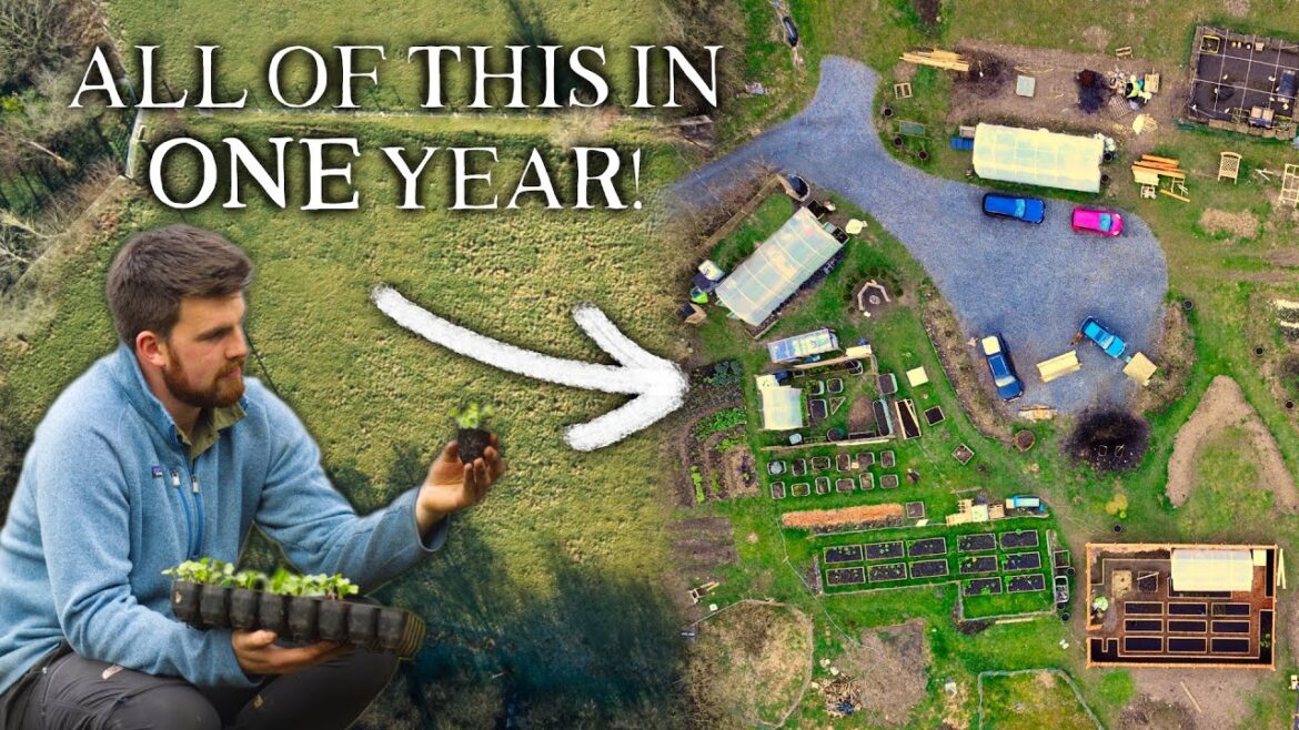 Huw Richards: From Empty Field to Huge Permaculture Project in 1 Year | Meet The Team From Empty Field to Huge Permaculture Project in 1 Year | Meet The Team