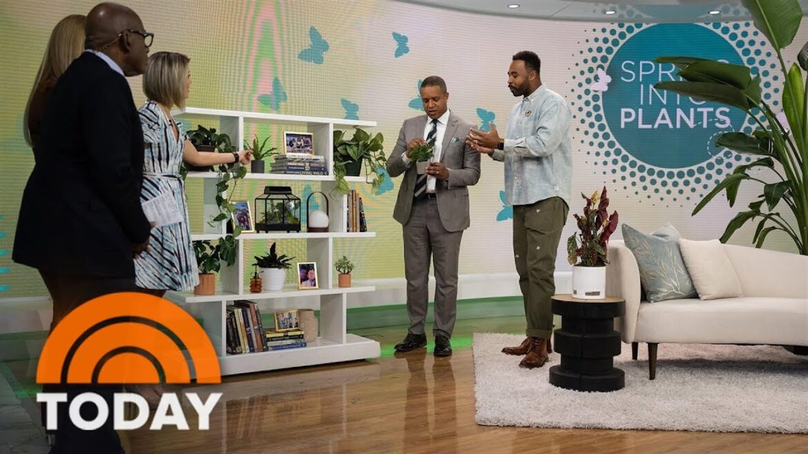 How to pick the right plants for different parts of your home