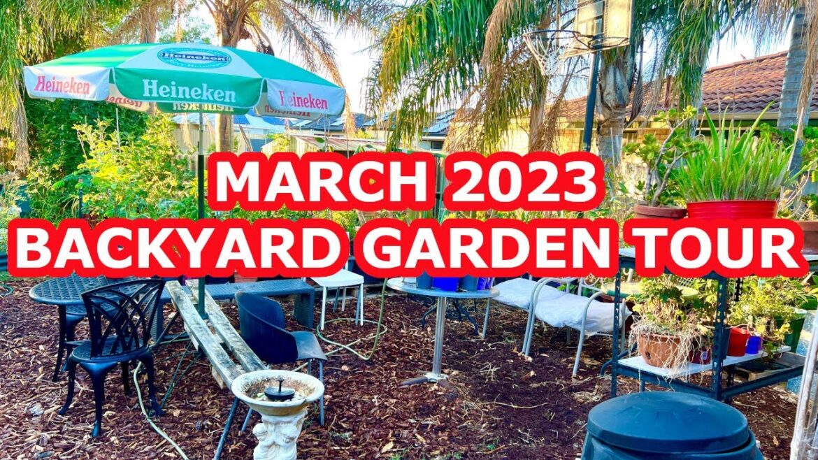 Backyard Garden Tour – March 2023 Tour #gardentour Backyard Garden Tour - March 2023 Tour #gardentour