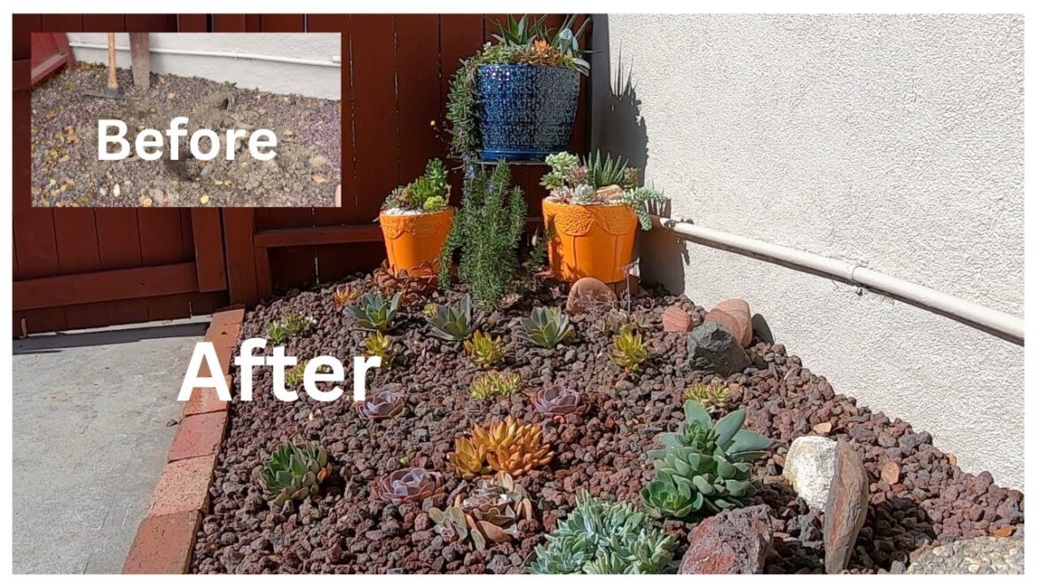 Outdoor Succulent Garden Makeover | Step by Step | Garden Design Outdoor Succulent Garden Makeover | Step by Step | Garden Design