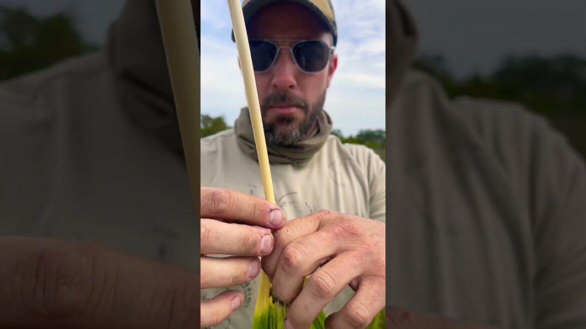 SHTF Food That Doesn't Need A Fridge!