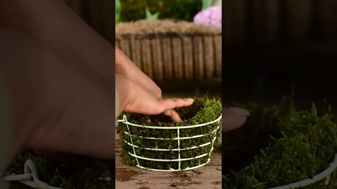 Spring Container Ideas: Day 9 #gardening