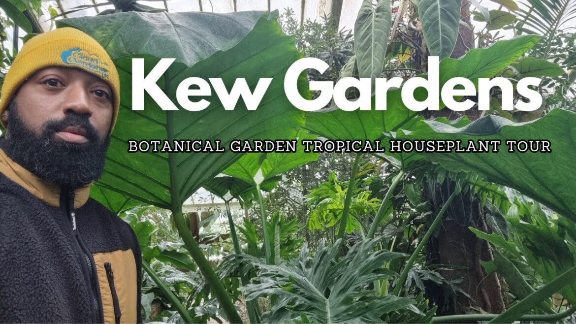 Tropical Houseplant Tour. Kew Gardens London Tropical Houseplant Tour. Kew Gardens London
