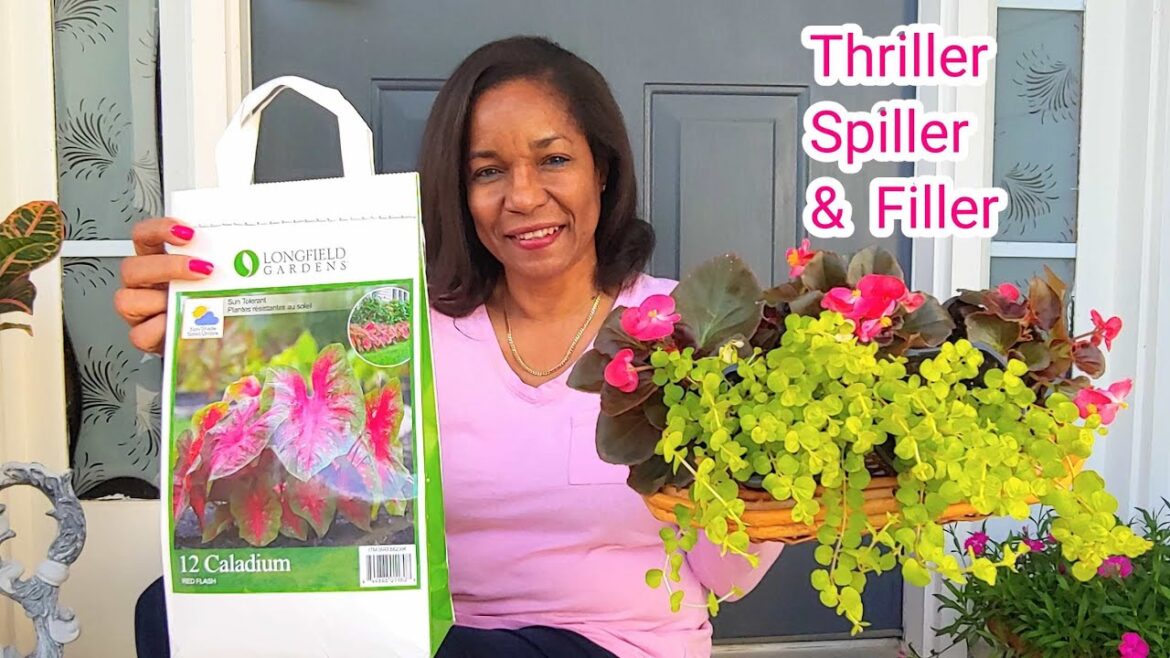 Plant a Container Garden for Part Sun, Part Shade| Planting Caladiums | #springporch23