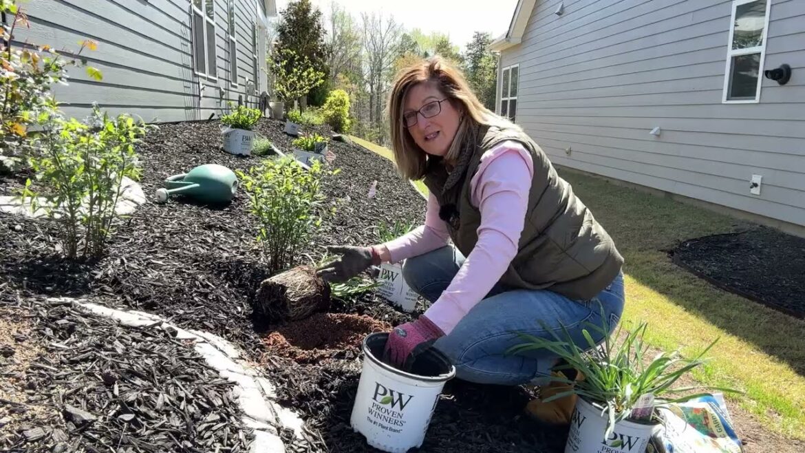 Plant Haul 2023:  West Side Garden Tour: Landscape Design for Garden Slope  to Prevent Erosion