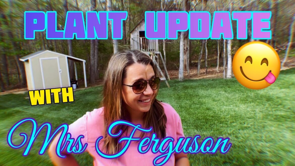 Mrs. Ferguson Talks Plants & Trees!