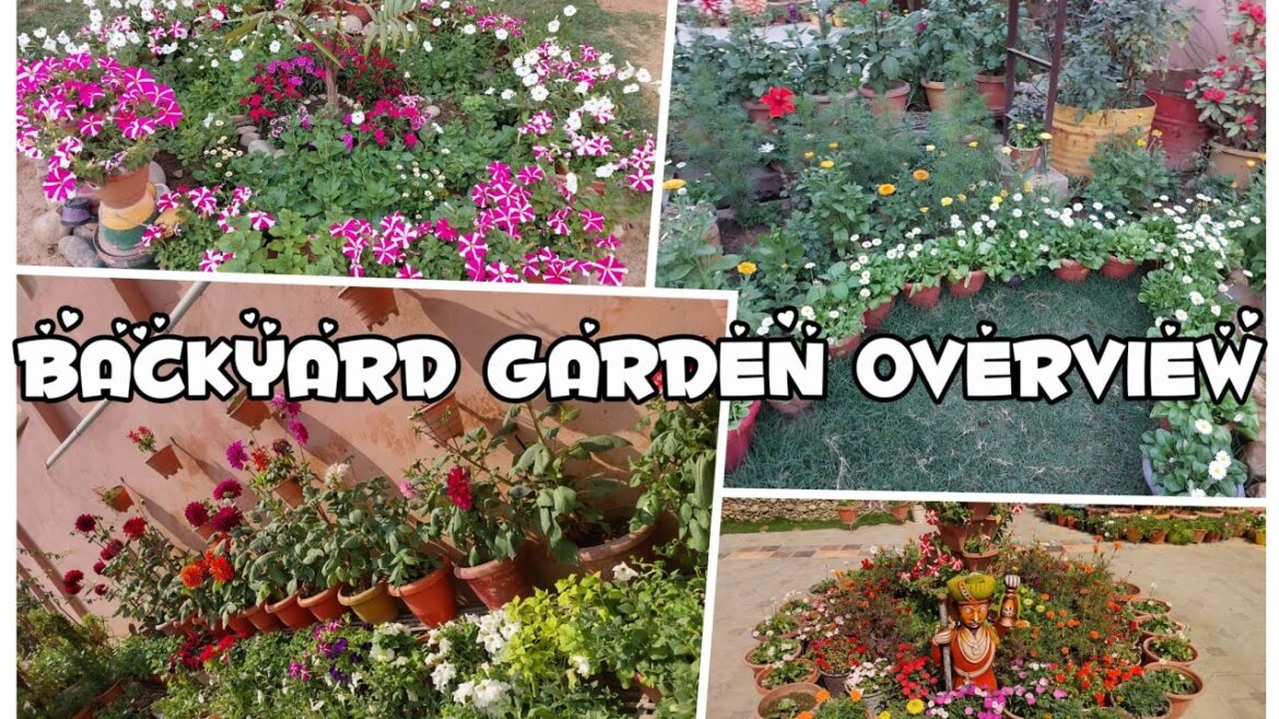 Backyard Garden full tour Feb2023/ Garden overview & sunday update