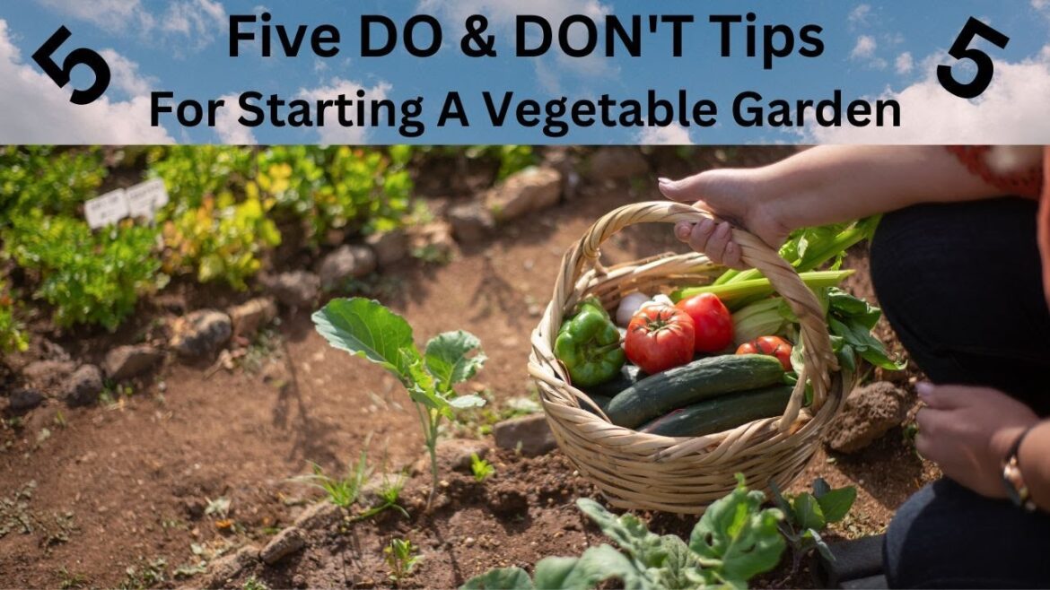 Beginner Vegetable Garden Tips