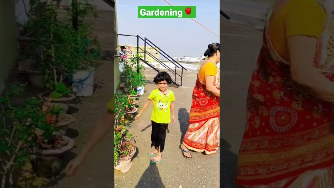 Gardening I flower gardening at home I Flower Plants for Home Garden I vegetable gardening at home Gardening I flower gardening at home I Flower Plants for Home Garden I vegetable gardening at home