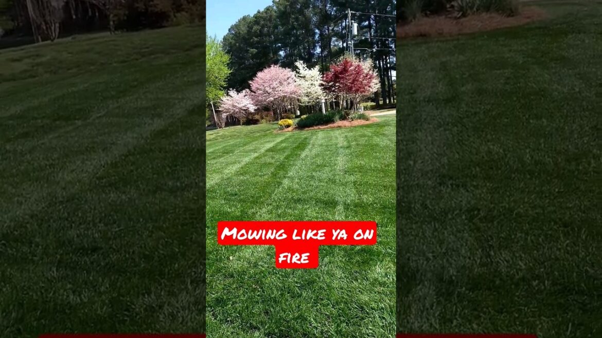 Mowing like ya on Fire