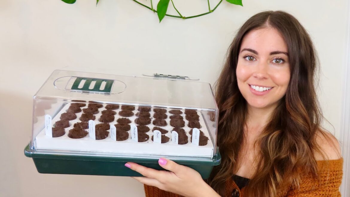 Planting A Salsa Garden! | Container Gardening