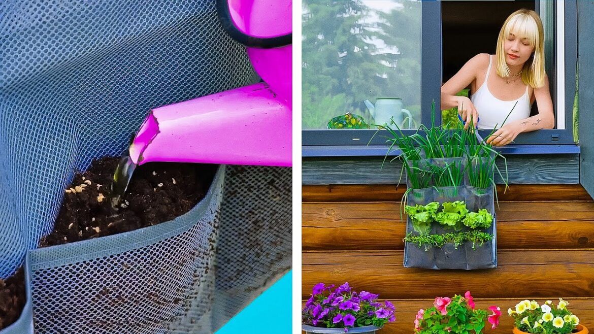 Cheap and Easy DIY Gadgets and Hacks For Your Garden 🌼 Cheap and Easy DIY Gadgets and Hacks For Your Garden 🌼