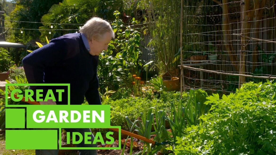 Veggie Garden Hints and Tips | GARDEN | Great Home Ideas Veggie Garden Hints and Tips | GARDEN | Great Home Ideas