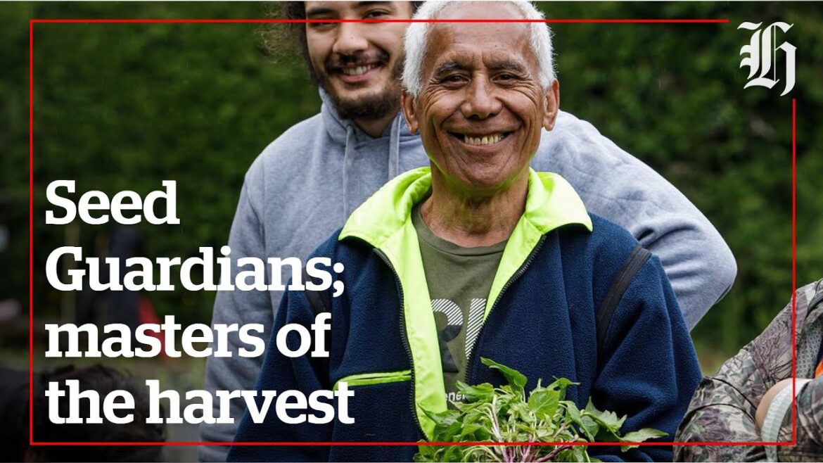 Become a Seed Guardian and get a greater yield from your garden | Local Focus