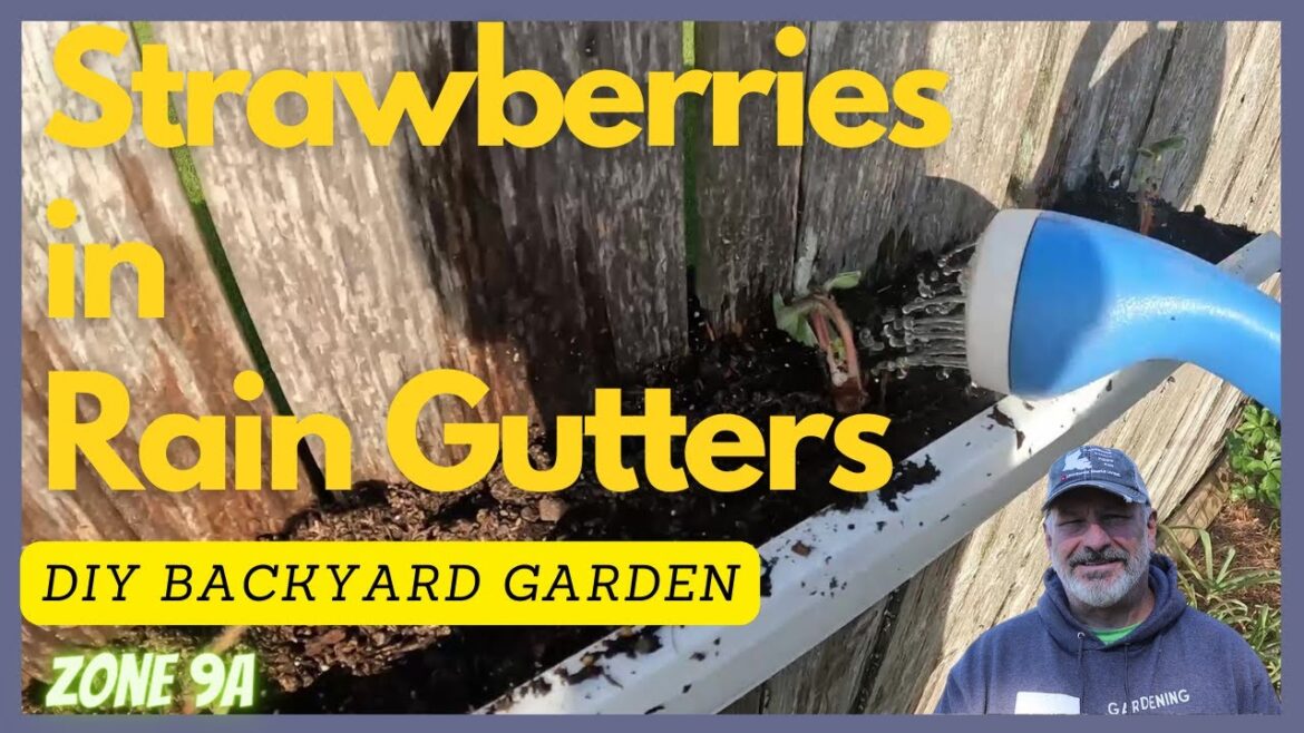 DIY Rain Gutter Strawberry Planter Box DIY
