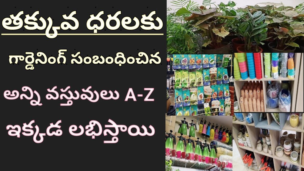 Hyderabad shopping for gardening materials | Hyderabad shopping for gardening | Garden tools Hyderabad shopping for gardening materials | Hyderabad shopping for gardening | Garden tools