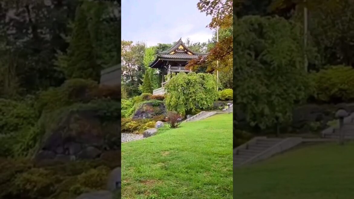 Japanese Garden in Dusseldorf | Mini Vlog
