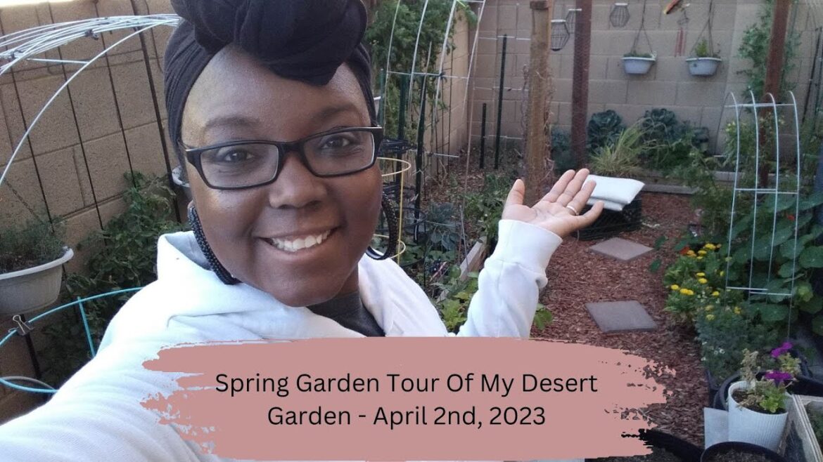 Spring Garden Tour Of My Desert Garden - April 2nd, 2023