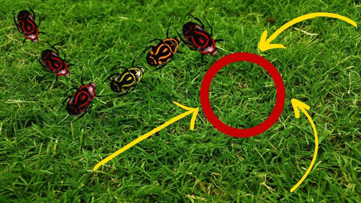 How to Start a Successful Garden on a Budget | Tips for New Gardening Hobbyists!