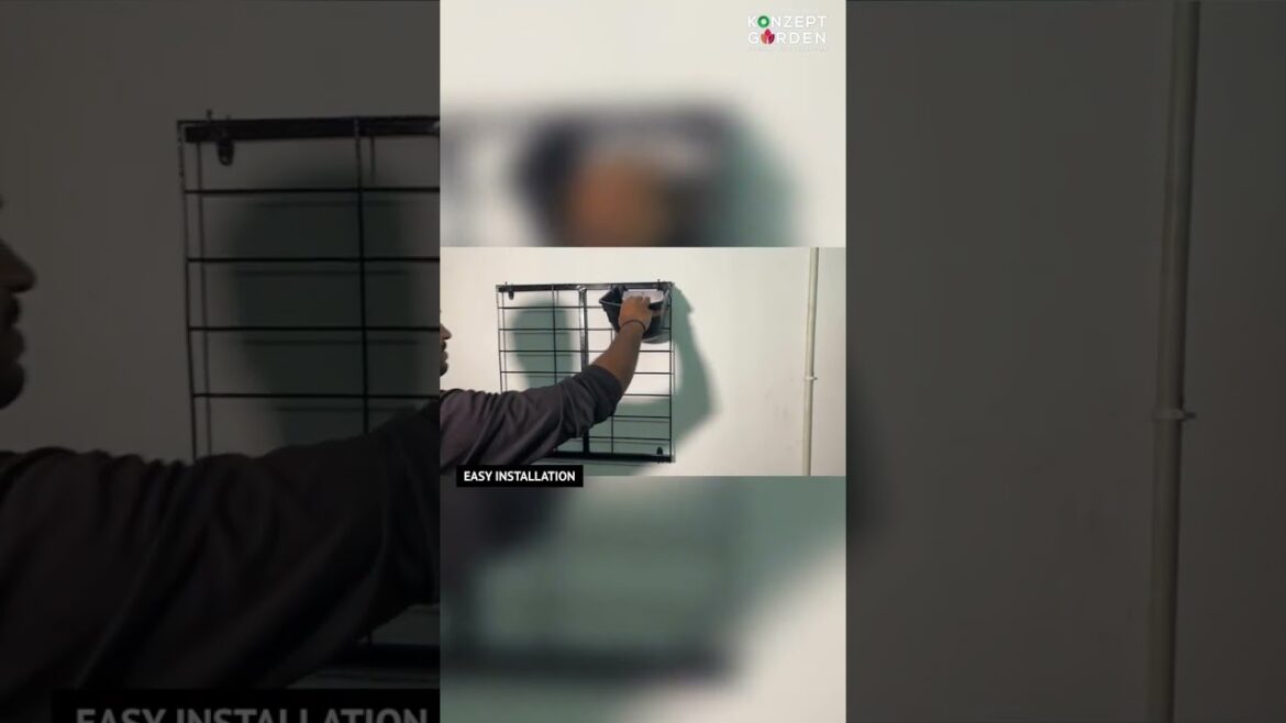 Complete empty wall with vertical garden design | Konzept Garden